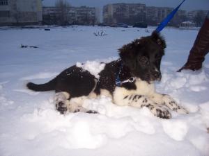Прикачена снимка