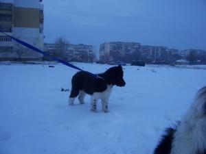 Прикачена снимка