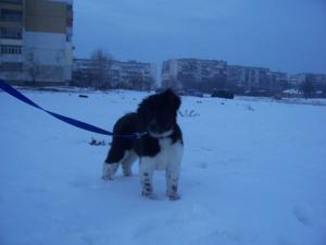 Прикачена снимка