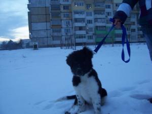 Прикачена снимка