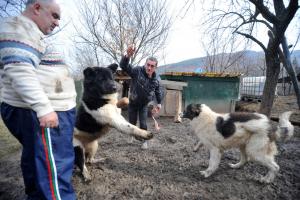Прикачена снимка