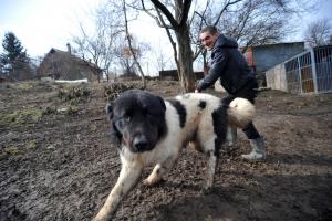 Прикачена снимка