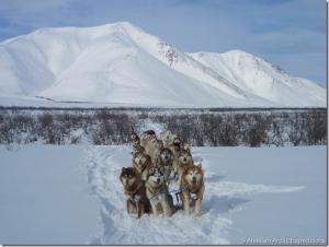 Прикачена снимка