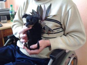 Прикачена снимка