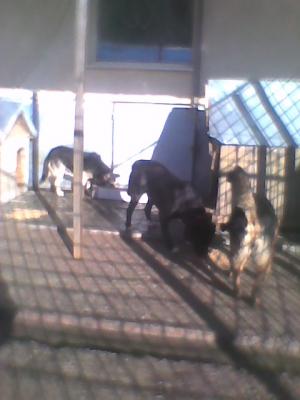 Прикачена снимка