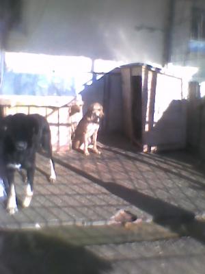 Прикачена снимка