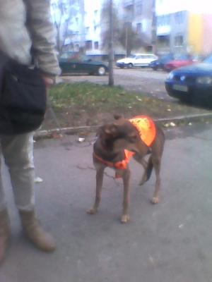 Прикачена снимка