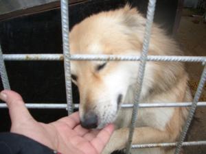 Прикачена снимка