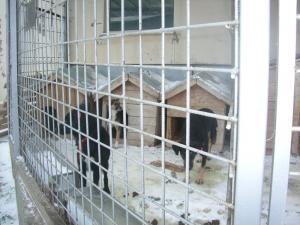 Прикачена снимка