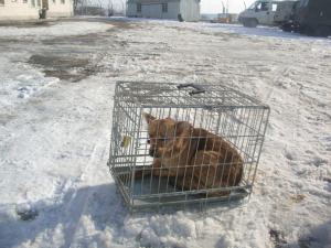 Прикачена снимка