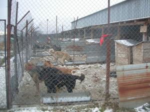 Прикачена снимка