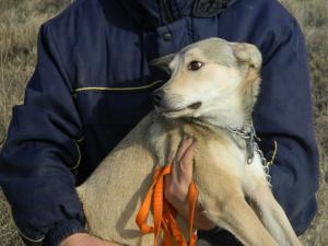 Прикачена снимка