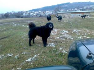 Прикачена снимка