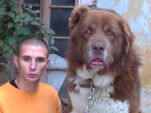 Прикачена снимка