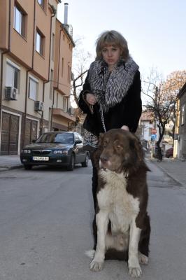 Прикачена снимка