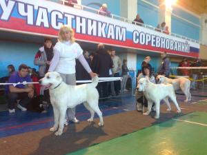 Прикачена снимка