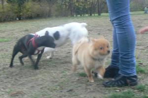 Прикачена снимка