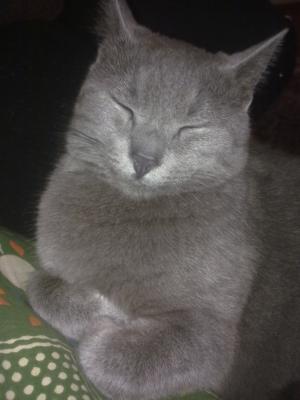 Прикачена снимка