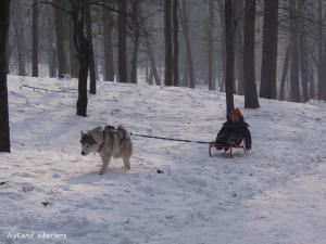 Прикачена снимка