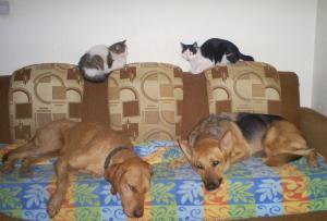 Прикачена снимка