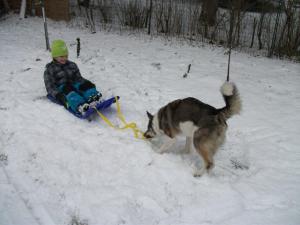 Прикачена снимка