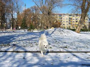 Прикачена снимка