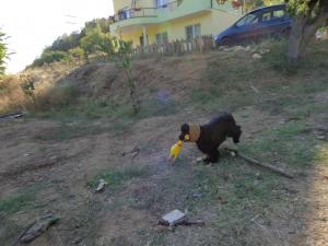 Прикачена снимка