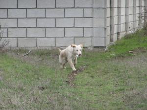 Прикачена снимка