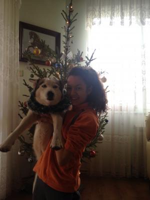 Прикачена снимка