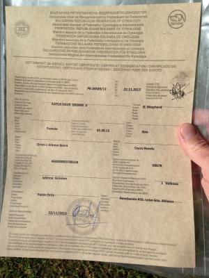 Прикачена снимка