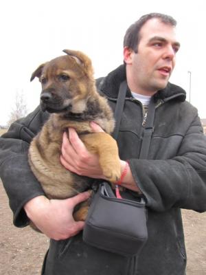 Прикачена снимка