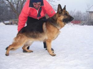 Прикачена снимка