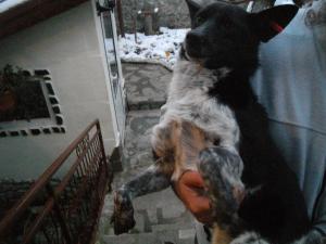 Прикачена снимка