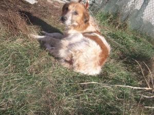 Прикачена снимка