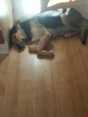 Прикачена снимка
