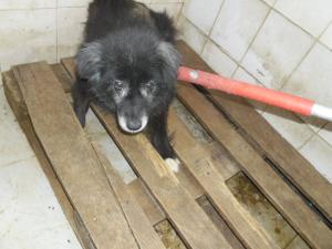 Прикачена снимка