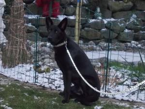 Прикачена снимка