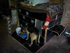 Прикачена снимка