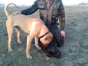 Прикачена снимка