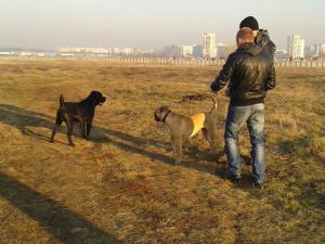 Прикачена снимка
