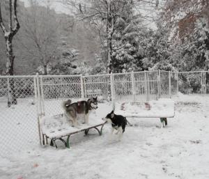 Прикачена снимка