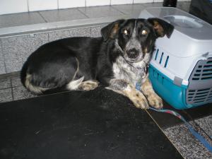 Прикачена снимка
