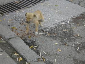 Прикачена снимка