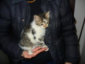 Прикачена снимка