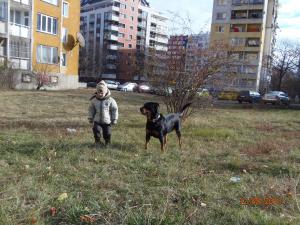 Прикачена снимка