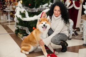 Прикачена снимка