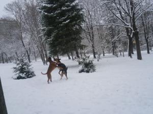 Прикачена снимка