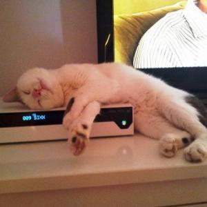 Прикачена снимка