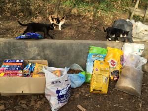 Прикачена снимка