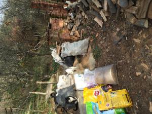 Прикачена снимка